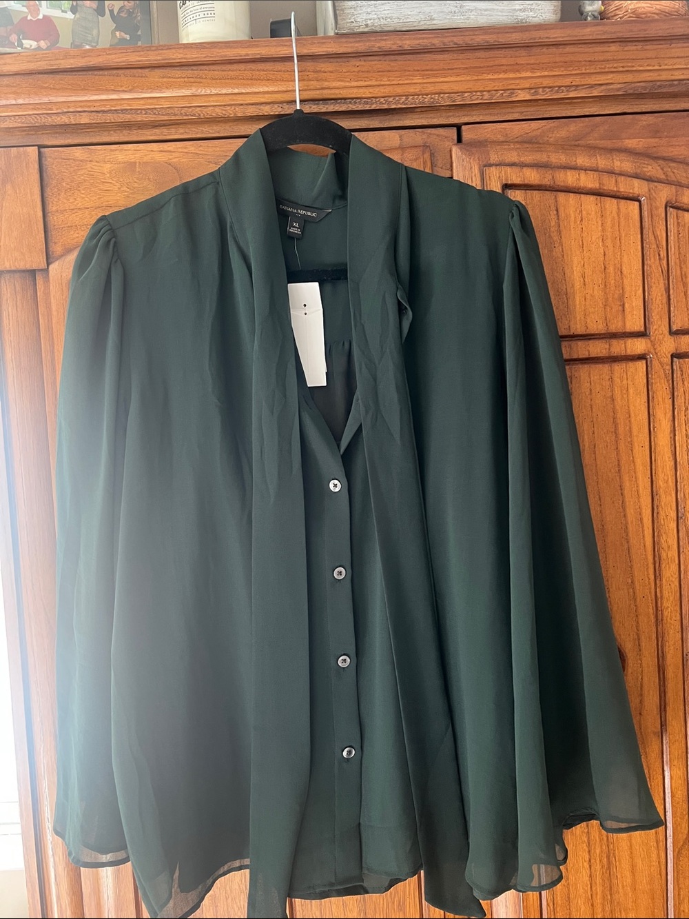 Banana Republic Dark Green Blouse with collar tie and detachable cami
